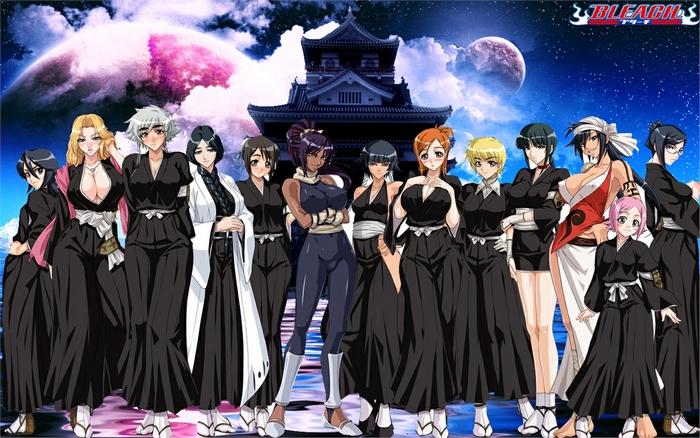 Bleach characters in front of a Japanese castle