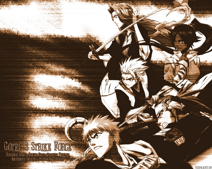 Gotei 13 Strike Force from Bleach