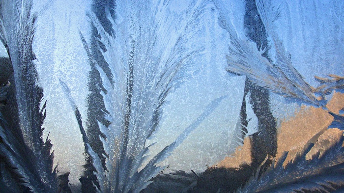 Close-up of frost patterns on a window