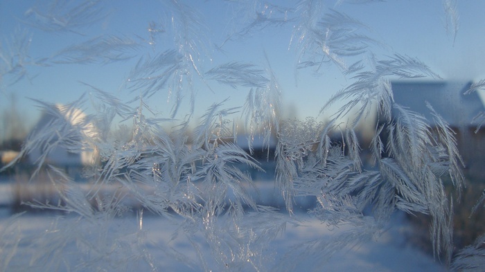 Frost patterns on a window with houses in the background