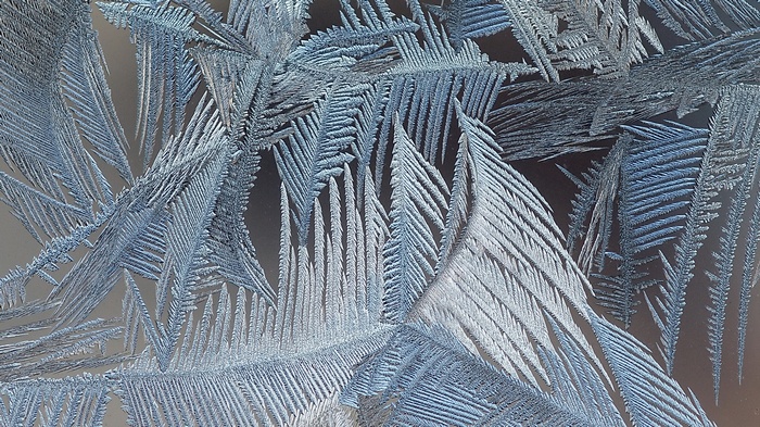Close-up of frost patterns on glass