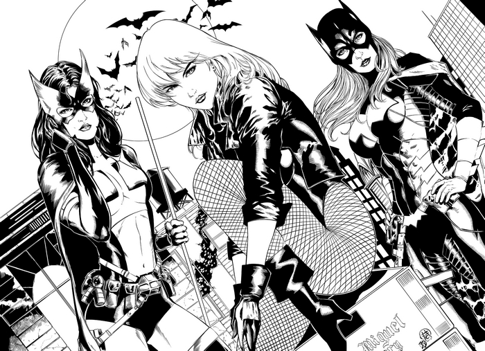 Batgirl and Black Canary with Huntress