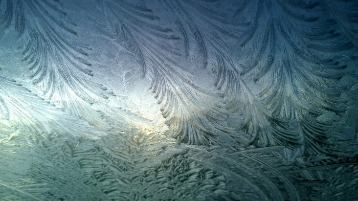 Frost patterns on glass