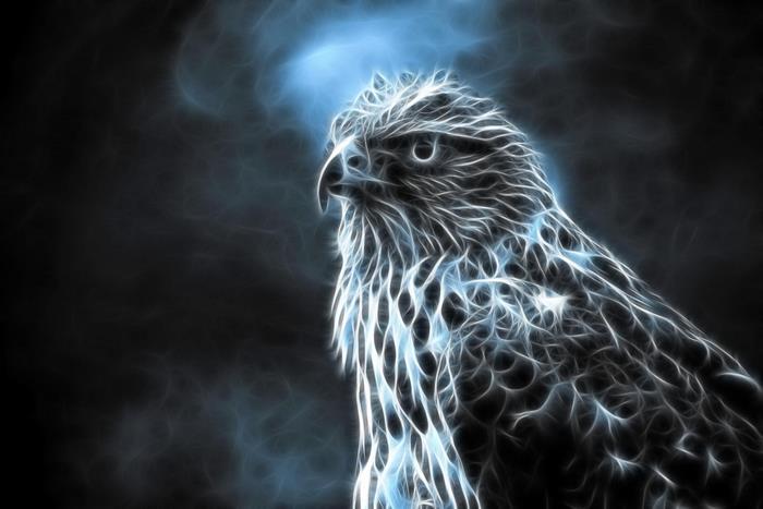 Fractal Falcon
