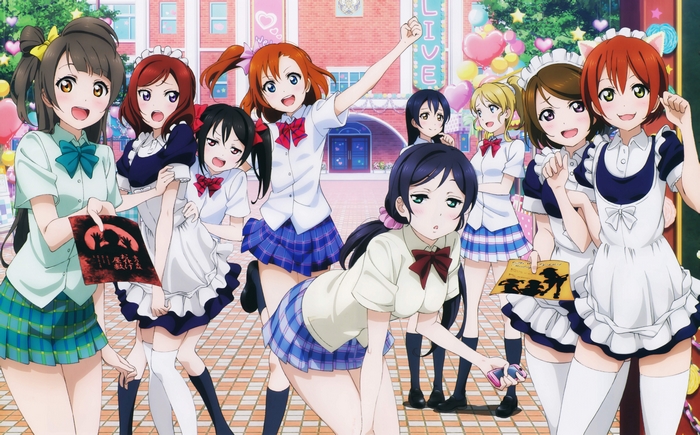 Love Live! School Idol Festival Kotori Minami