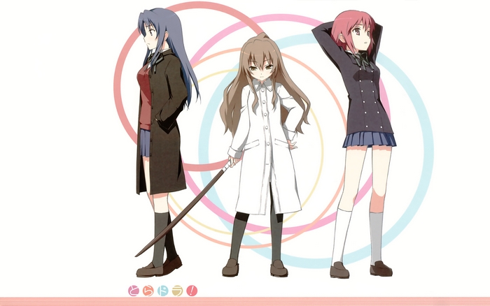 Toradora! Taiga Aisaka and friends