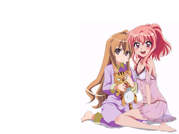 Taiga Aisaka with Pink-Haired Girl