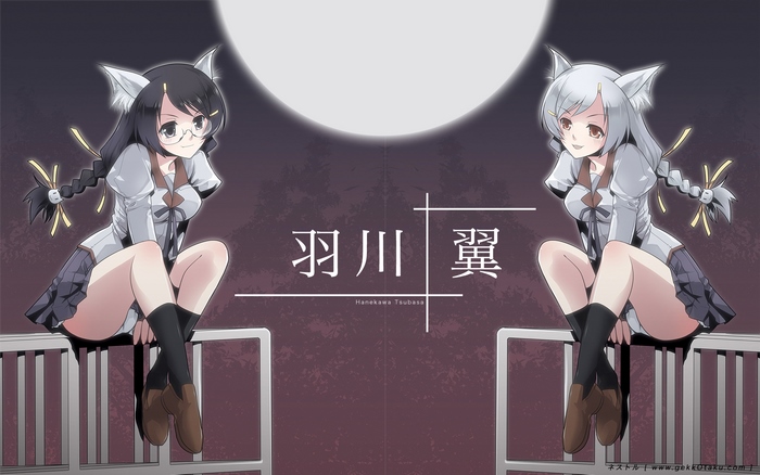 Hanekawa Tsubasa from Monogatari Series