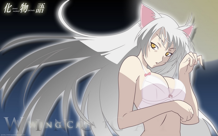 Tsubasa Hanekawa from Bakemonogatari