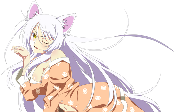 Tsubasa Hanekawa from Monogatari Series