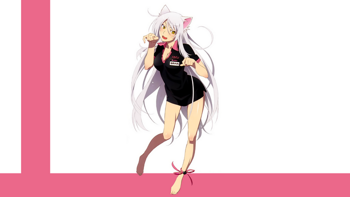 Tsubasa Hanekawa from Monogatari Series