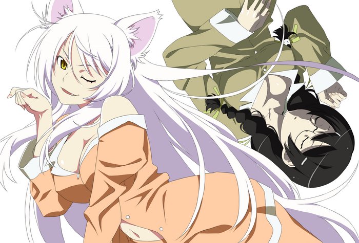 Tsubasa Hanekawa