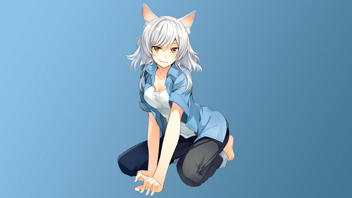 Tsubasa Hanekawa kneeling on blue background