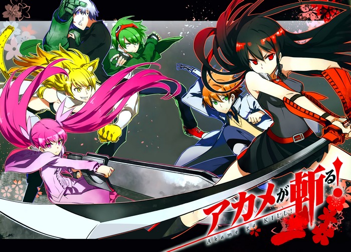Akame Ga Kill! characters in action