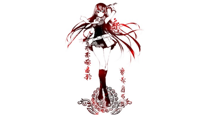Akame from Akame Ga Kill!