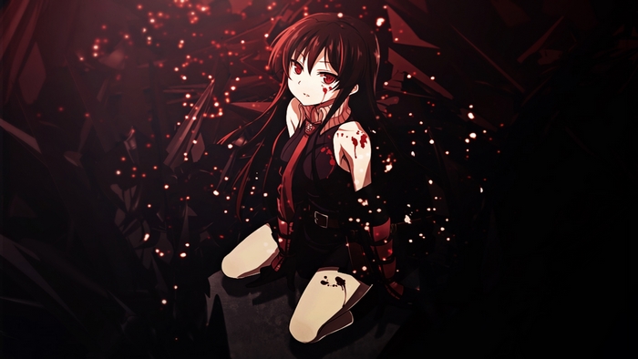 Akame from Akame Ga Kill!