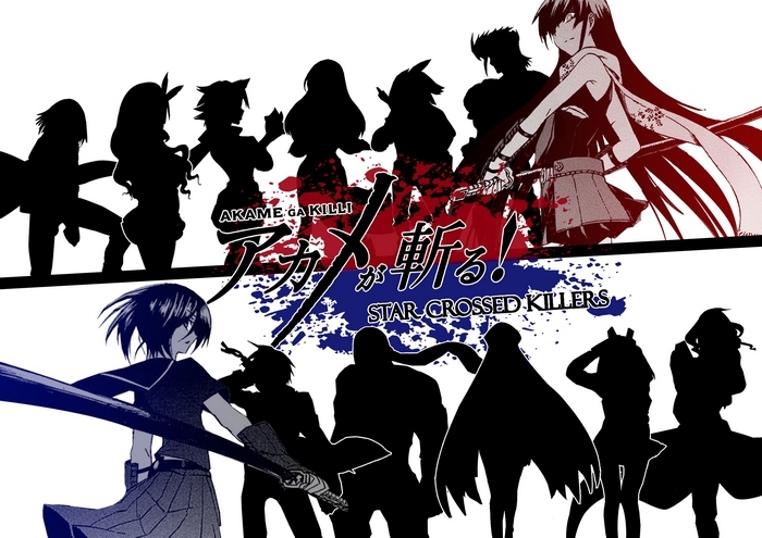 Akame from Akame Ga Kill! Star Crossed Killers