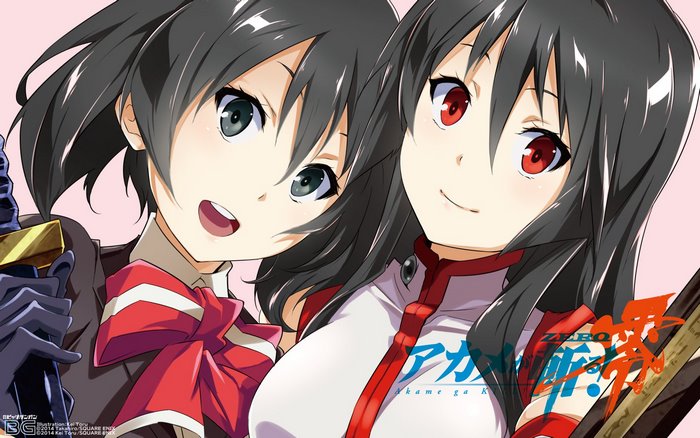 Two girls from Akame ga Kill!
