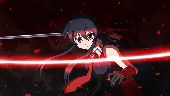 Akame from Akame Ga Kill!