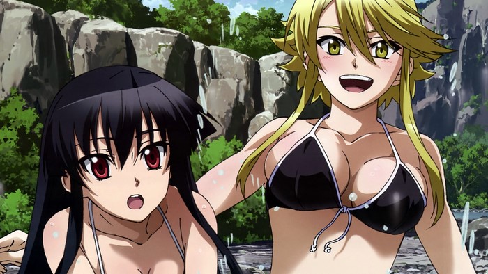 Akame and Leone from Akame Ga Kill! in bikinis