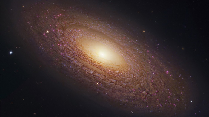 Spiral Galaxy with bright core and dust lanes