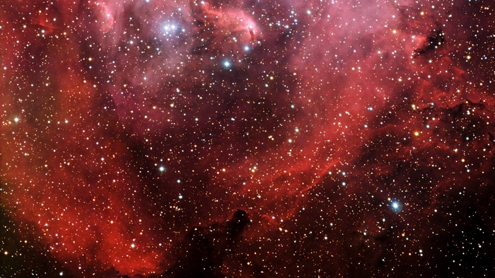 Horsehead Nebula in Orion