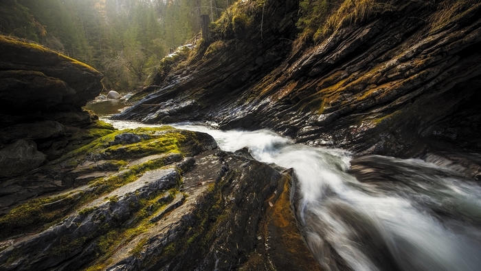 Mossy rocks and a stream in a forest