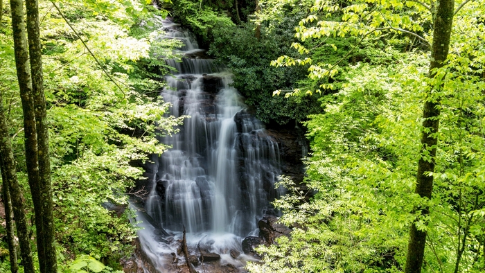 Waterfall in a lush green forest in the USA