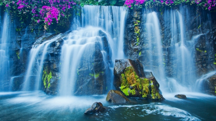 Waterfall with purple flowers and mossy rocks