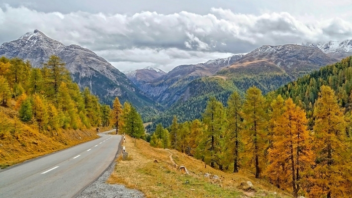 Mountain road in autumn with colorful trees and snow-capped peaks