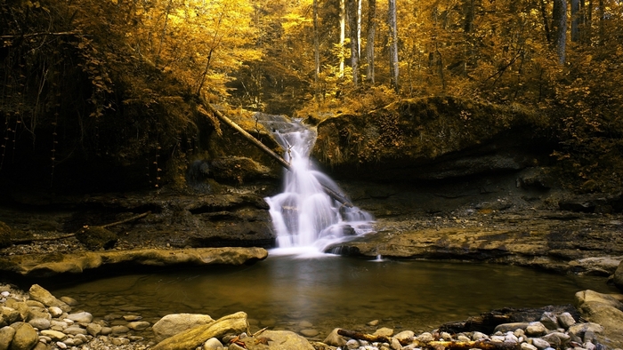 Waterfall in a golden autumn forest