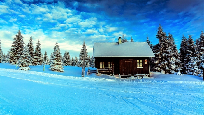 Snowy cabin surrounded by fir trees under a blue sky