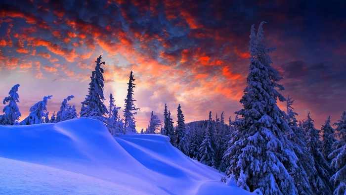 Snowy Winter Forest at Dusk with Vibrant Clouds