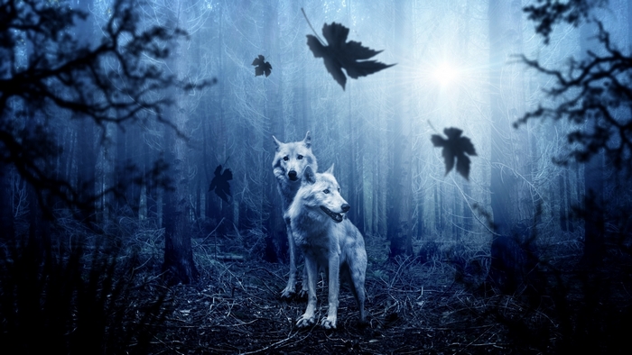 Two white wolves in a dark, misty forest with falling leaves