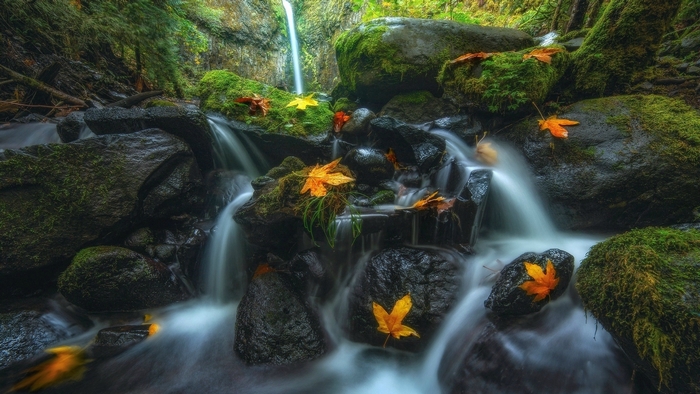 Autumn waterfall with mossy rocks and fallen leaves