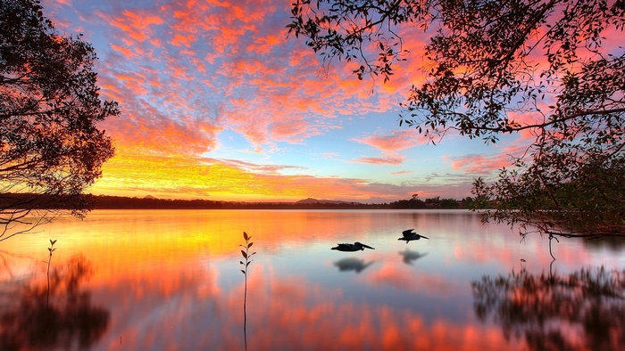 Two pelicans fly over a lake at sunset