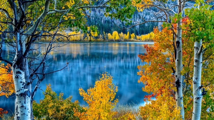 Tranquil Autumn Lake with Colorful Trees