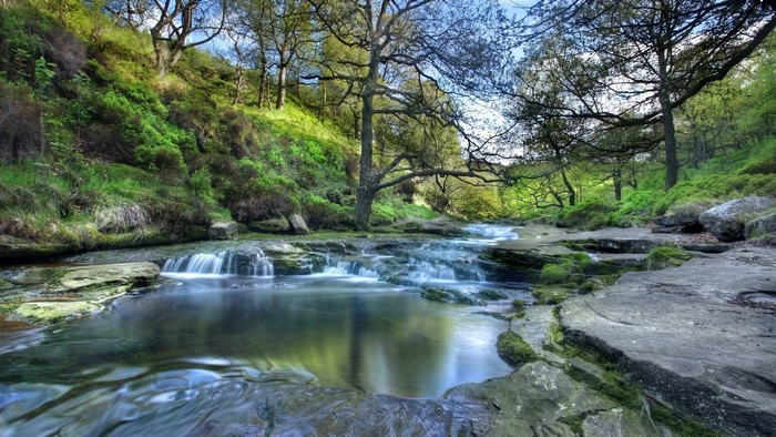 River flowing through a forest in the Peak District, UK