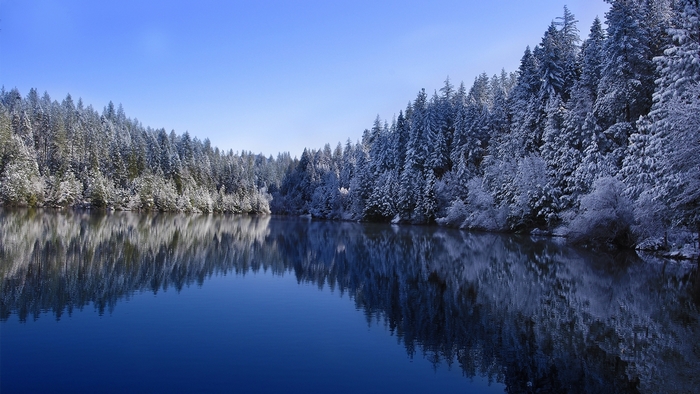 Snow-covered trees reflected in a calm lake under a blue sky