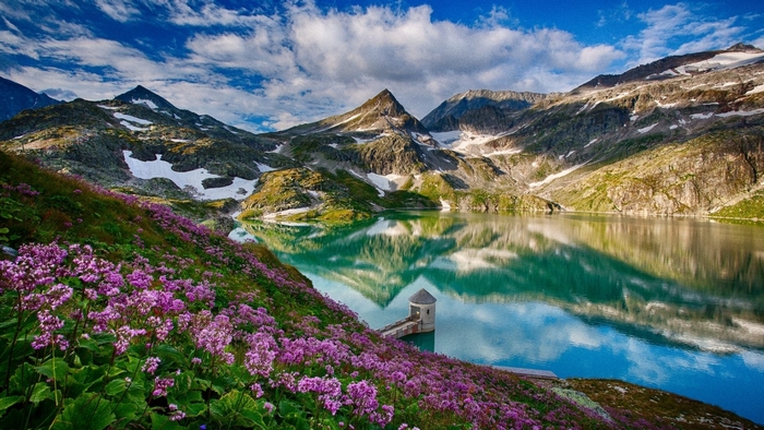 Mountain lake with purple flowers and reflection