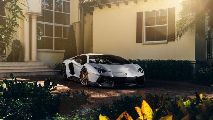 Matte white Lamborghini Aventador parked in front of a house