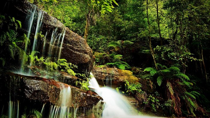 Waterfall cascading through a lush green forest
