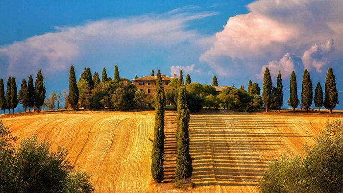 Tuscan villa with cypress trees and fields