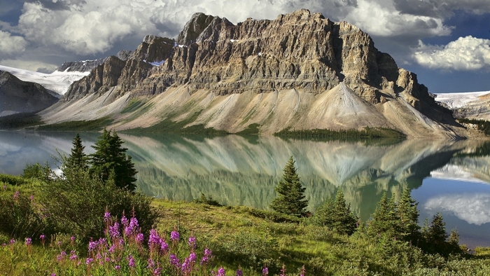 Mountain lake reflection with wildflowers and pine trees
