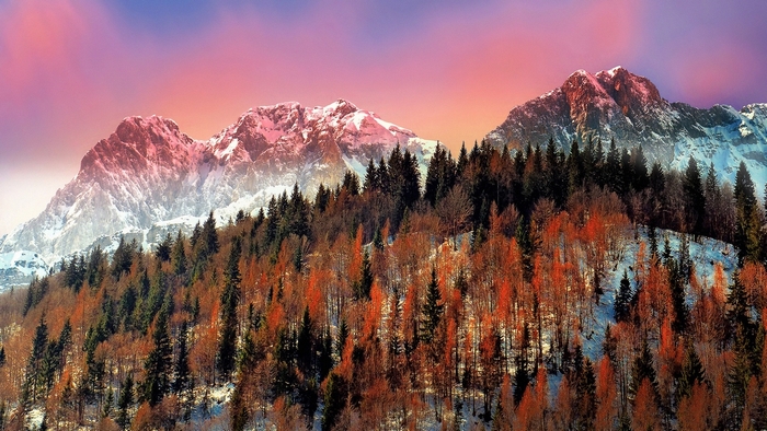 Colorful forest and snow-capped mountains at sunset