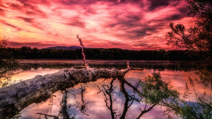 Dramatic sunset over a lake with a fallen tree
