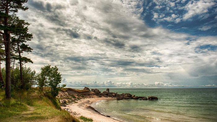 Trees on a cliff overlooking the sea in Latvia