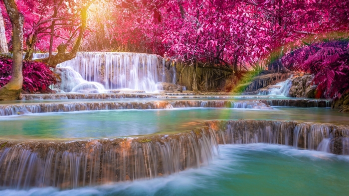 Serene Multi-Tier Waterfall with Vibrant Purple Trees
