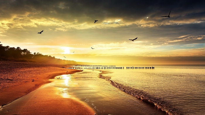 Serene Beach Sunset with Flying Birds