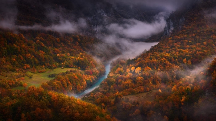Autumn forest with a river and fog